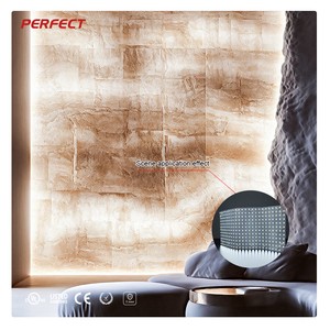 Flexible LED Panel Lights 480x240mm Flexible Ultra Thin 288LEDs/pc for Backlighting Using