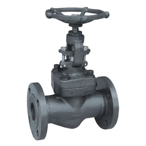 Chinese Factory Price Customized A105 Forged Steel Globe Valve