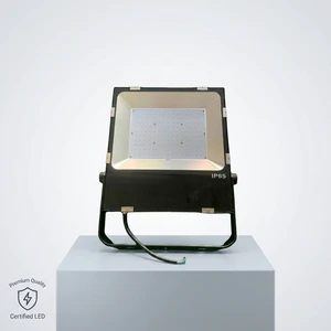 Powerful SMD LED Flood Light IP66 Waterproof 10W-300W Aluminum 5-Year Warranty Best Selling Outdoor Reflector