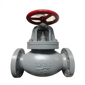 Marine JIS Cast Iron Straight Through Globe Valve F7305 F7307 F7309