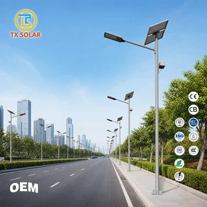 TX OEM ODM CE CB IEC Certified IP65 Waterproof 8m Pole 60W High Lumen LED Outdoor Solar Street Lamp Outdoor Solar Street Light