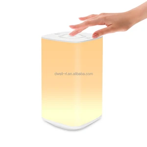 Rgb Touch Lamp Touch Sensor Led Bedside Lamp Color Changing Dimmable Warm White Lamp with Remote Control