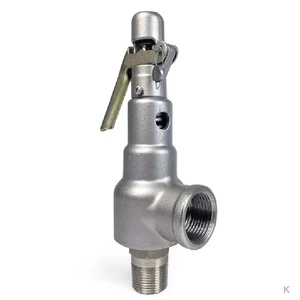 Investment Casting Safety Valve Body for Pipe Construction