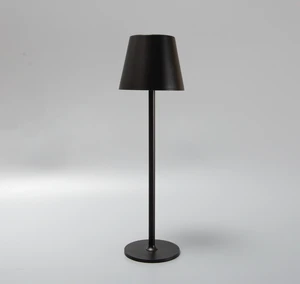 High-End Wrought Iron Table Lamp Rechargeable Small Night Light for Reading Custom Packing Dimension for Room Use