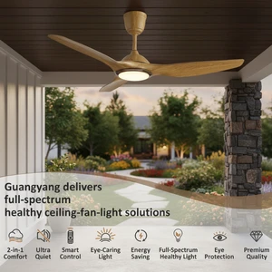 1 20-Inch Ceiling Fan Light with DC Motor Modern Design & Remote Control for Small Bedrooms