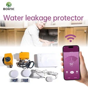 Bornic Wifi Controlled Intelligent Electric Valve Brass Water Valve Water Leak Detector Water Leakage Protector