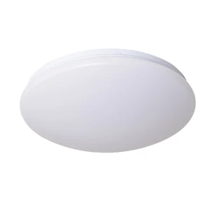 CE Ceiling Light
