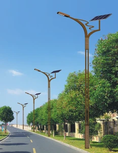 Durable 8m Galvanized Cast Iron Street Light Pole for Outdoor Lighting
