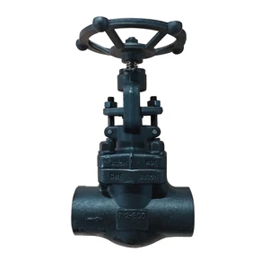 Forged Globe Valve A105N 1/2