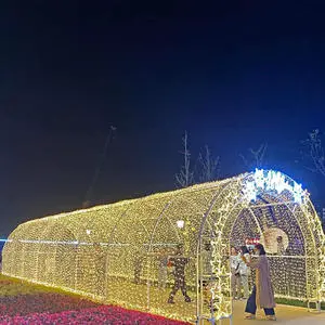 Tunnel Light Wholesale Outdoor Festival Arches IP65 Waterproof LED Motif Lights for Christmas Holiday Decorations