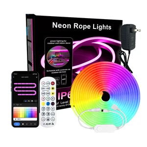RGB Graffiti WIFI Smart Neon Tube Light Colorful Silicone Music Atmosphere Strip Light