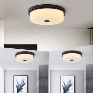 Factory Custom Modern Ceiling Light for Living Room Round Black Led Light Ceiling/Dimmable Ceiling Lamp/Led Ceiling Lights
