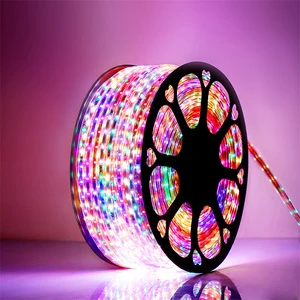 Outdoor Lighting 220v High Pressure Color Hose Racing Decoration RGB Colorful High Brightness IP67 Waterproof Led Rope Lamp