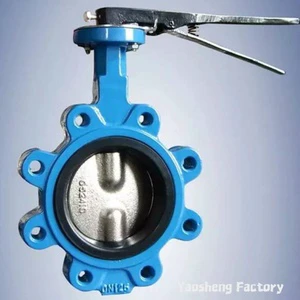 YAOSHENG D71X-10/16 Cast Iron Manual Lug Butterfly Valve Wafer Design DN 40-200 1.0-1.6Mpa Water Supply Control Fluid Flow 1