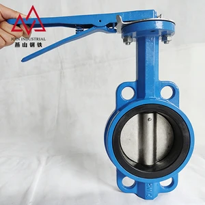 Water Type Butterfly Valve DN50-DN600 Ductile Iron Body for Water Supply Projects