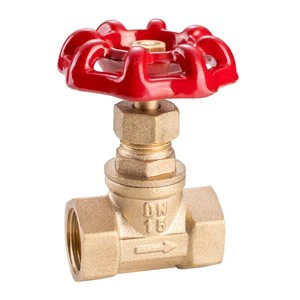 4 Inch Forged Brass Low Temperature Globe Valve