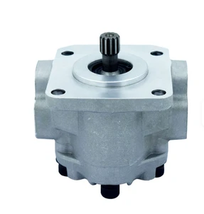 High Pressure Electric OEM Hydraulic Gear Pump with 6W Power Oil Compatibility 1 Year Warranty for Machining Applications