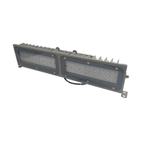 IP66 LED Tunnel Lamp Flood Light for Tunnel 4000K 20W 200W Luminous Lighting Chip Evo Rohs Rating Input