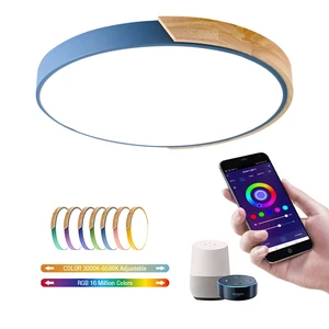 High Quality Smart Ceiling Light RGB Wifi Dimmable TUYA Music Voice Control Round LED Flush Mount Oem/odm Service