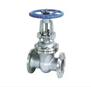 DI WCB SS304 SS306 Rising Stem Flanged Stainless Steel Gate Valve