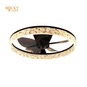 Fan Ceiling Light