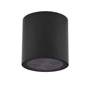 IP65 IP54 Waterproof 10W Cob LED Spot Light Surface-Mounted Outdoor Ceiling Light for Hotels Projects-Surface Mounted Downlight