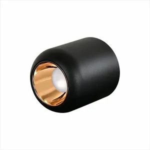 Modern Led Downlight,led Ceiling Light 8W Anti-glare Downlight For COB Living Room Home Office