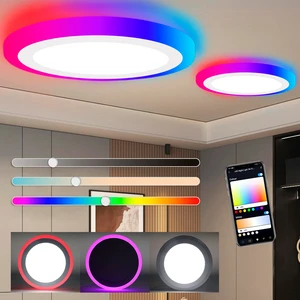 Google Alexa Ultra Thin Surface Mounted Led Ceiling Light Smart Voice Control Flush Mount Night Light 2000K Or RGB