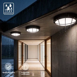 Outdoor Waterproof Die Cast Aluminum Wall Mounted IP65 LED Bulkhead Light 15W-60W