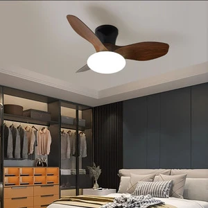 Suction Top Fan Light Big Wind Restaurant Living Room Household Frequency Conversion Fan Light