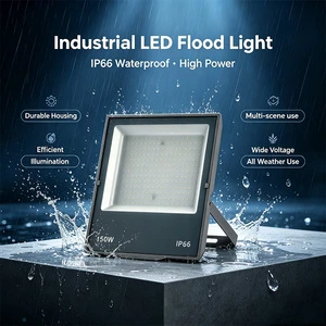 30W 50W 100W 150W 200W Commercial LED Flood Light Outdoor IP66 Waterproof SMD For Building Facade Parking Lot