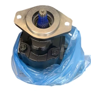 7049111047 Hydraulic Gear Pump 7049532002 PGP640B0650AE1H3NT6E6C-620B037 3339121207 PGP517B0160CD1H3NB1E5C-517A016
