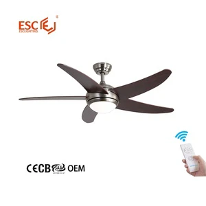 Modern Decorative Fan Light Wall Remote Control Latest Commercial Ceiling Fan with Light