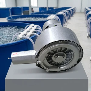 High Pressure Industrial Regenerative Air Blower Fan Double Stage 2.2kW 220V Electric Ring Blower For Biofloc Aeration System