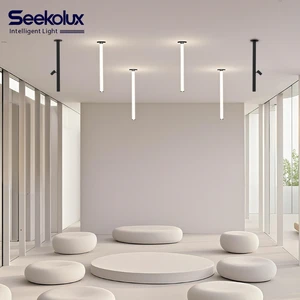 Top Deals Indoor Modern Ceiling Lighting Long Tube Track Chandelier Dimmable TUYA ZIGBEE AC LED Acrylic Decorative Ceiling Lamp