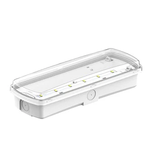 Small High-Brightness IP65 Waterproof Lamp Made of Durable Plastic Powered by a Lithium Battery