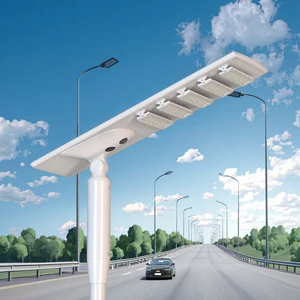 Adjustable Light Source Module Solar Street Light Auto-Following Solar Panel LifePo4 Battery IP65 Rated All-in-One LED CCTV Road