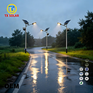 Custom Waterproof Solar Street Light High Brightness LED Solar Powered Street Lamp with CE ISO Certification