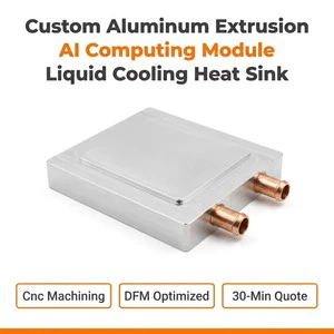Custom Liquid Cooling Cold Plate Extruded Aluminum AI Computing Module Heat Sink