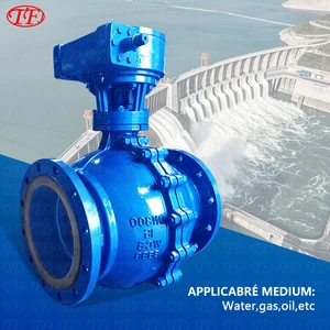 TF WCB CASTING 2 PIECE TRUNNION DOUBLE BLOCK And BLEED(DBB) BALL VALVE 150LB~4500LB Electric/Pneumatic Eccentric Half Ball Valve