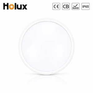 Holux IP66 IK10 Adjustable Outdoor Waterproof WiFi Motion Sensor Ceiling Light Bulkhead Flicker-Free 2 CCT Cob LED 5-Year