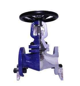 Ackam DN25 Cast Iron Globe Valve WJ41H Manual Steam Control Water Shutoff High Temperature OEM Customizable General Factory