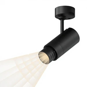 Zoom Led COB Track Spotlight Aluminum Body High CRI 90 Adjustable Focus Two-Wire Guide Light Clothing Store Commercial Use