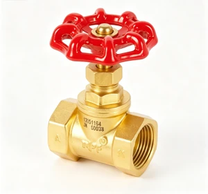 Multifunctional Globe Valve, Brass Material, Threaded Connection, PN16, OEM Available