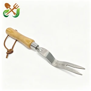 Gardening Stainless Steel Hand Stainless Steel Crack Weeder Manual Hand Weeding Tools Sidewalk Gap Crevice Weeding Tool For Weed