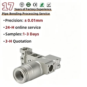 Non-Standard Valve Bodies & Parts-High-Precision Non-CNC & Non- Machining Services for Machinery Guangdong (Material Other)