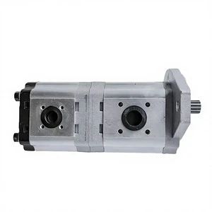 YD Hydraulic Double Gear Pump 1 HP 2-Stage High Pressure 200 Bar with 1/4 Inch Connection for Hydraulic Systems