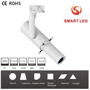 SMART Modern Museum LED Track Lights System 10W 15W 20W 30W Aluminum Gobo Shapeable Cut Ceiling Line Shop Fixtures Dali