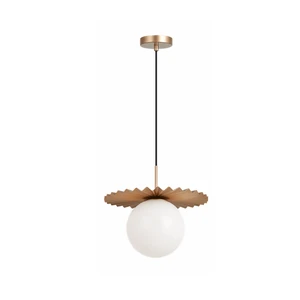 Pendant Light Ceiling Lamp Pendant Lamp