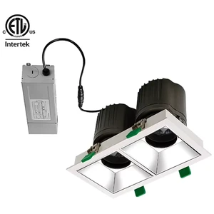 Modern Lamps 2*30W LED Downlight Black RA90 RA97 Commercial Lighting Indoor Recessed Ceiling Spotlight for Office